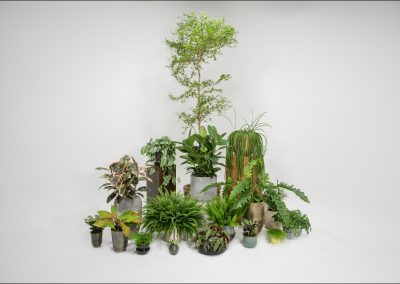 cyclorama studio
